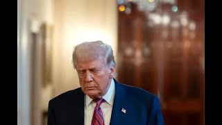 Download Lagu BREAKING: Nieuwe Epstein-update is geweldig voor Trump en het Witte Huis MP3 Download Lagu BREAKING: Nieuwe Epstein-update is geweldig voor Trump en het Witte Huis MP3