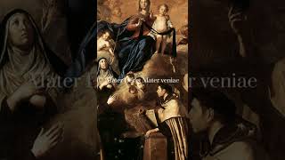 July 16 | Our Lady of Mount Carmel @tuespetrus1618