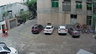 IP Camera Video Analytics Line-crossing/Tripwire Demo