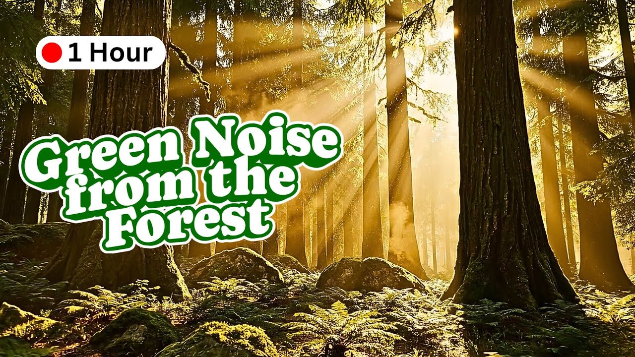 Green Noise from the Forest � Deep Sleep Sound Block for ADHD & Insomnia No Music