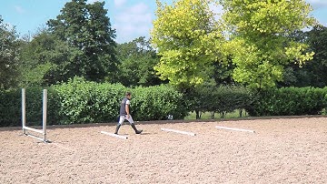 Jumping bigger fences – Tom Davison