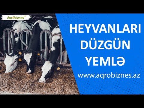 Video: Düzgün Xərc Sənədini Necə Doldurmaq Olar