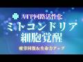 🌈ミトコンドリア細胞覚醒✨ATP回路活性化528Hz✨
