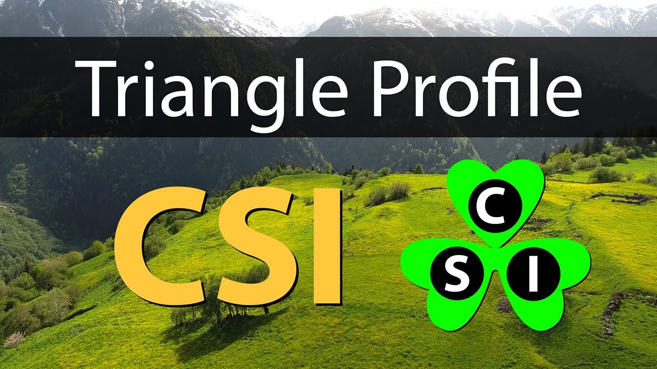 CSI Triangle Profile from Tara’s Triangle Personality Type Psychology Tool