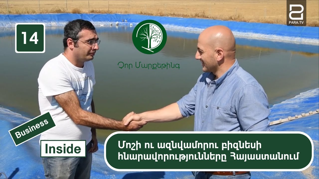Մոշի ու ազնվամորու բիզնեսի հնարավորությունները Հայաստանում | Business Inside 14