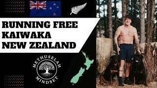 Running Free - Kaiwaka New Zealand