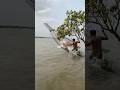 Big size fish catching by cast net in rever 🐬#dailyfishinglife #dailyreels #castnetfishing #ytshorts