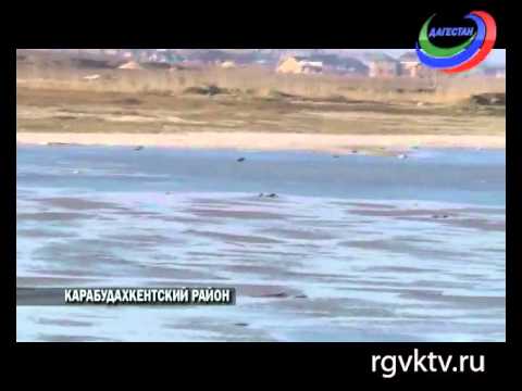 Озеро турали Озеро турали