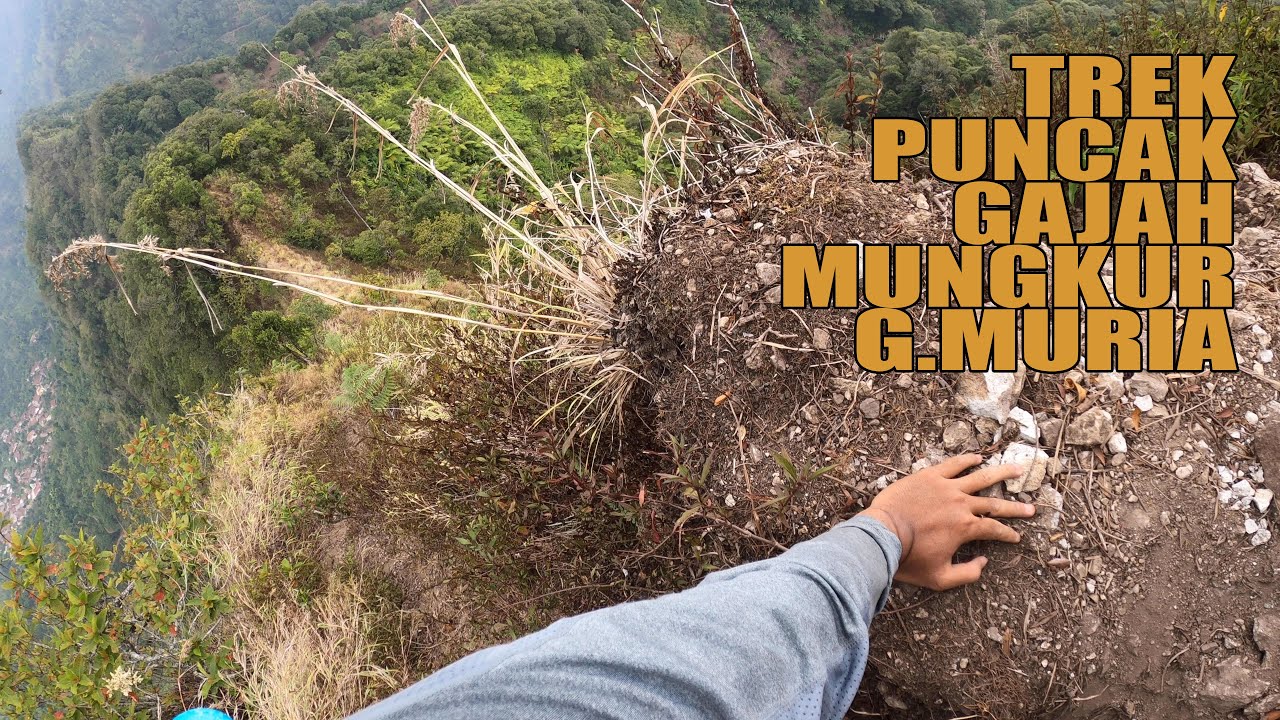 Puncak Gajah Mungkur Gunung Muria Via Basecamp Duplak Tempur Jepara