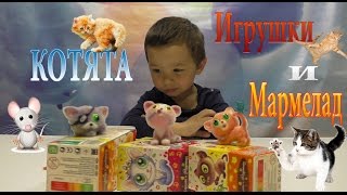 Котята веселые пушистые зверята Игрушки сюрприз ДАВАЙ ИГРАТЬ FreshToys Kittens Toys Kinder Surprise Котята веселые пушистые зверята Игрушки сюрприз ДАВАЙ ИГРАТЬ FreshToys Kittens Toys Kinder Surprise