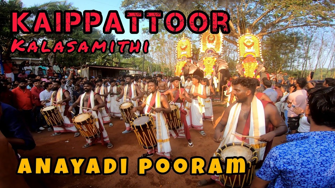 Kalasamithi Kaippattoor Singarimelam  Anayadi Pooram 2024    Dharmareksha Anayadi