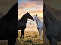 A Meeting of Two Noble Souls: Cinematic Horse Run at Dawn 🌅