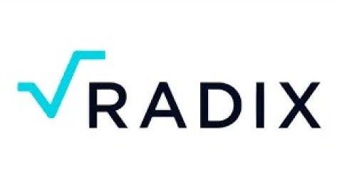 XRD USDT Price Analysis Today (20-12-2021)- Buy Radix #makemoney #crypto #bitcoin #Radix