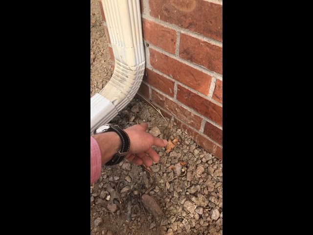 Expansive soils in Roxborough? What to look for when purchasing a house.