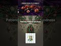 Freedom in Christ • Bible songs
