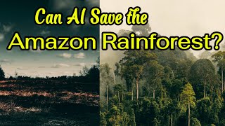 How AI is Saving the Amazon Rainforest: The Story of Project Guacamaya