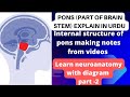 Internal structure of pons| Transverse section of pons| pons Neuroanatomy