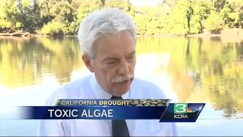 Health officials warn of toxic algae growing in local rivers & streams