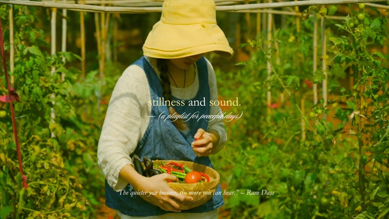 stillness and sound. — (a playlist for peaceful days)
