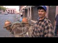 La tradición más bonita de Zacatecas. Tomar aguamiel de cántaro y burro. es reportaje de 2016