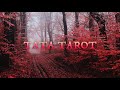 Поговорим о Магии и Таро | Прямой эфир 🟥