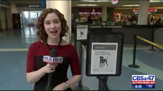 TSA reportedly phasing out pointy-eared canines in favor of dogs with floppy ears