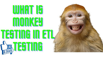 What is MONKEY Testing in ETL Testing | SQL Oracle ETL Monkey Testing Concepts|