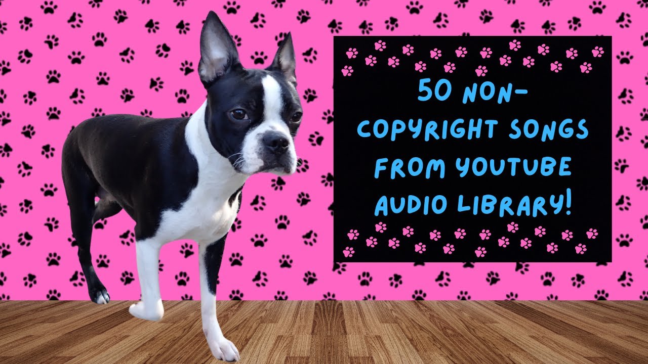 50 non copyright songs from YT audio library that you can use on your ...