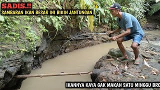 YA AMPUN.!! INI BENAR² IKAN BESAR TERSADIS || MANCING TEPAT DI SARANG IKAN AUTO GAK PAKAI LAMA BRO