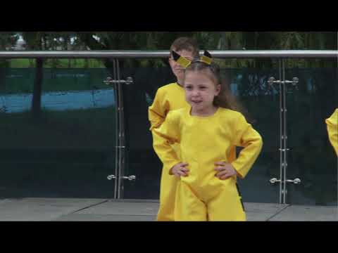 სტუდია ჰარმონია - ,,პაკემონები\"