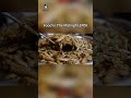 越夜越宵愁 Food in The Midnight EP06: 潮汕生腌 Chaoshan-Style Raw Marinated Seafood