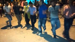 On Numara Halay