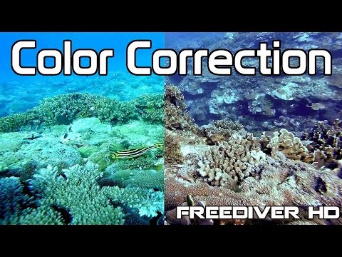 Underwater Color Correction
