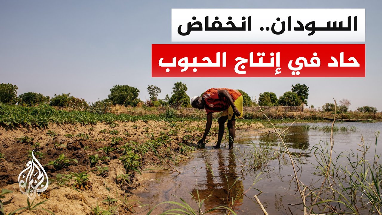 ����� ������� �������� -�����-: ����� ������� �� ������ ���� 2025 ����� ����� 22%
 - نشر قبل 6 دقيقة