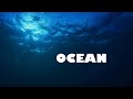 1 Hour of Ocean with Thomas Newman | Vol.2