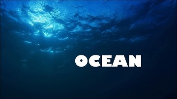 1 Hour of Ocean with Thomas Newman | Vol.2