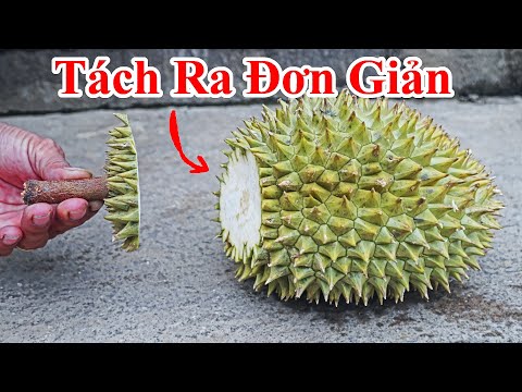 Cách Tách Vỏ Sầu Riêng Nhẹ Đến Phụ Nữ Yếu Đuối Cũng Tách Được / Cách Bóc Vỏ Sầu Riêng Đơn Giản Nhất