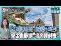 「鱷」勢力! 以色列擬抓鱷魚守監獄「挨批虐巴囚」 學生獵野熊「宿舍裡煙燻」康乃爾急發禁令｜TALK國際線PODCAST @TVBSNEWS01