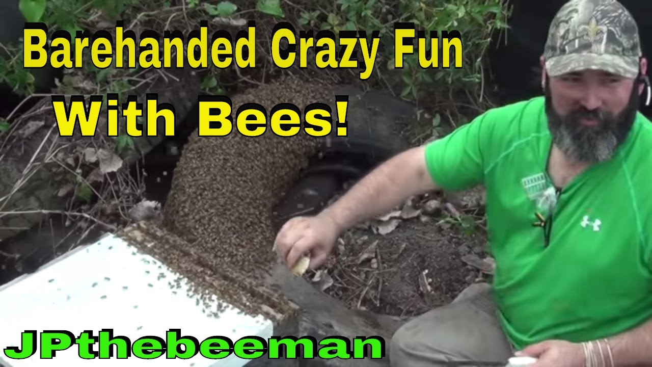 JP The Beeman Removes Bees From Truck Tire (Barehanded!) YouTube