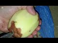 مرام بنت القهواجي اه اه الفيديو ليوم بزاف يوجع ويقهر اسمحولي على دموع قصص واقعية