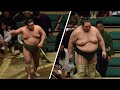 2 historic promotions, 8 retirements - including a real giant! (Sumo News, Jan 28th)