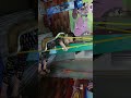 Aliza & Zayan Enjoying Indoor Swing | Adorable Indoor Playtime Fun | Playland swing Karachi