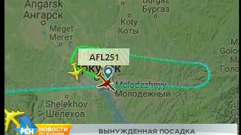 Экстренную посадку в аэропорту Иркутска совершил самолёт, следовавший из Сеула в Москву