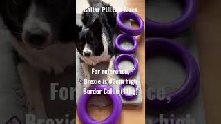 Dog PULLER Sizes Intro