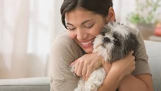 Responsible Pet Ownership - Lost pets