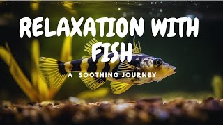 Relaxation With Fish| A Soothing Journey| HINI TV #Relaxation #fish #nature #ocean