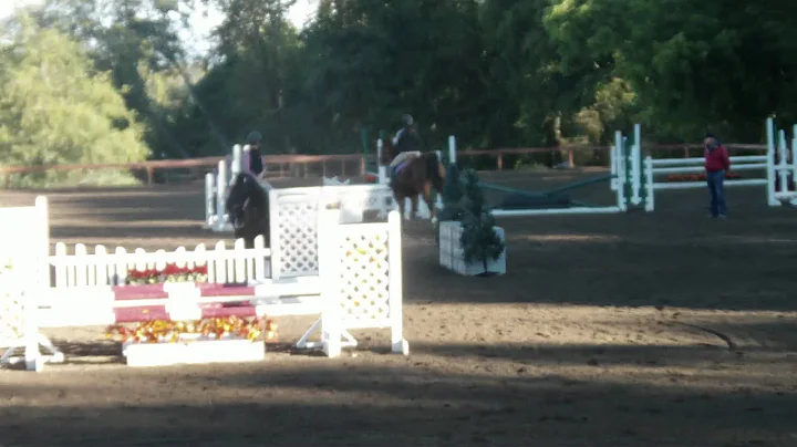 Richard Keller Clinic Tessa & Happy 2011