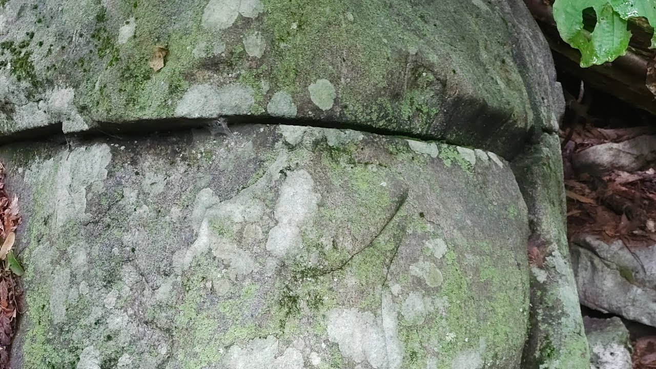 Lost civilization of Prehistoric 