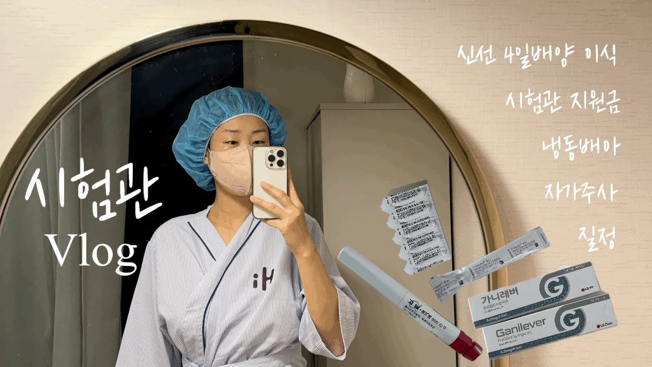 [vlog] 첫 시험관 브이로그 | 4일배양 2개 신선이식 | 시험관 지원금 | 시험관 총 비용 | 자가주사 | 질정 | 난자채취 | 동결배아