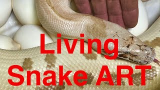 VLOG Boas, Pythons, Eggs and Kevin’s Gibberish. by New England Reptile 6,602 views 1 month ago 22 minutes